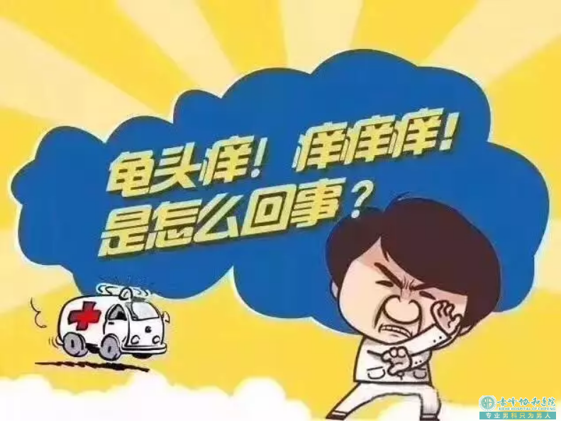 宝鸡元宝山区男人得了龟头炎该怎么进行治疗